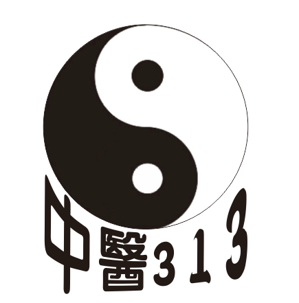 中医313logo——随你商城 | 专业工作服定制厂家